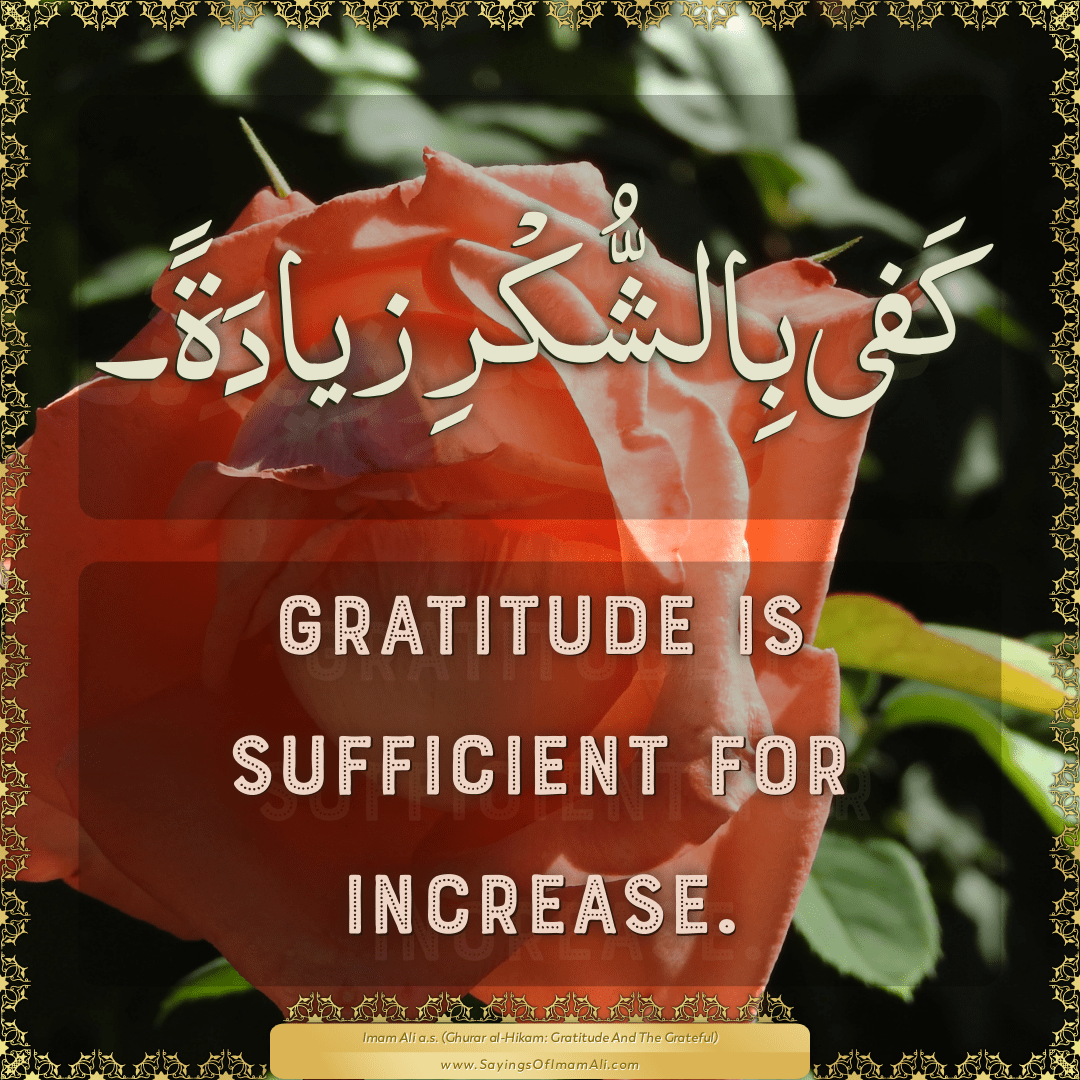 Gratitude is sufficient for increase.